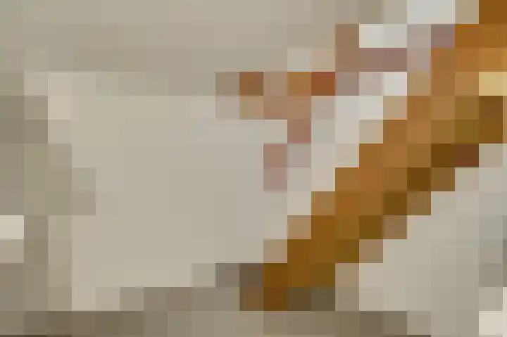 Pastoor van Crugtenlaan 2 a Heythuysen thumbnail 18