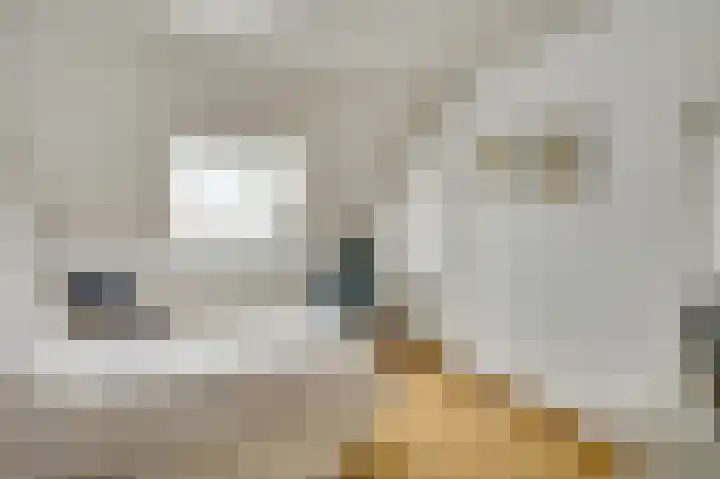 Pastoor van Crugtenlaan 2 a Heythuysen thumbnail 32