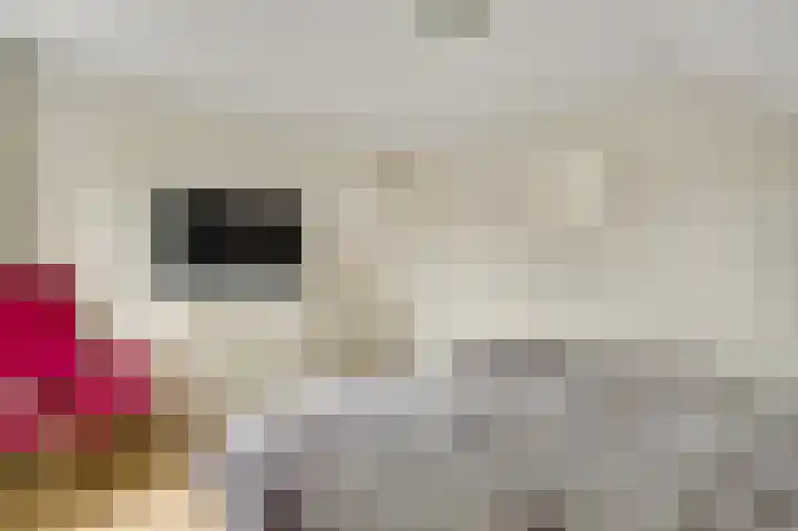 Pastoor van Crugtenlaan 2 a Heythuysen thumbnail 33