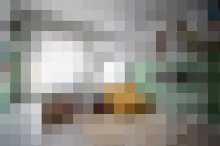 Pastoor van Cuykstraat 4 Swalmen thumbnail 15