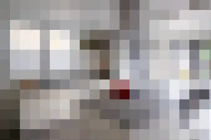 Pastoor van Cuykstraat 4 Swalmen thumbnail 4
