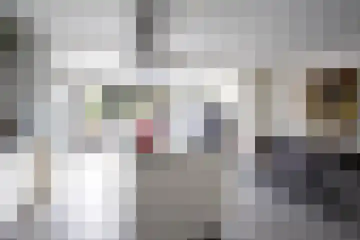 Pastoor van Cuykstraat 4 Swalmen thumbnail 5