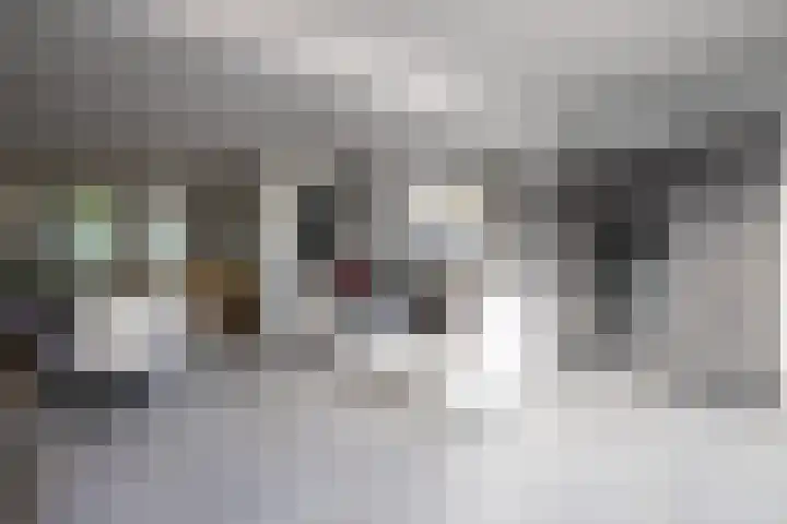 Pastoor van Cuykstraat 4 Swalmen thumbnail 6