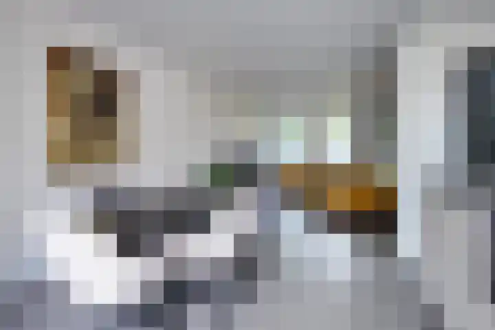 Pastoor van Cuykstraat 4 Swalmen thumbnail 9