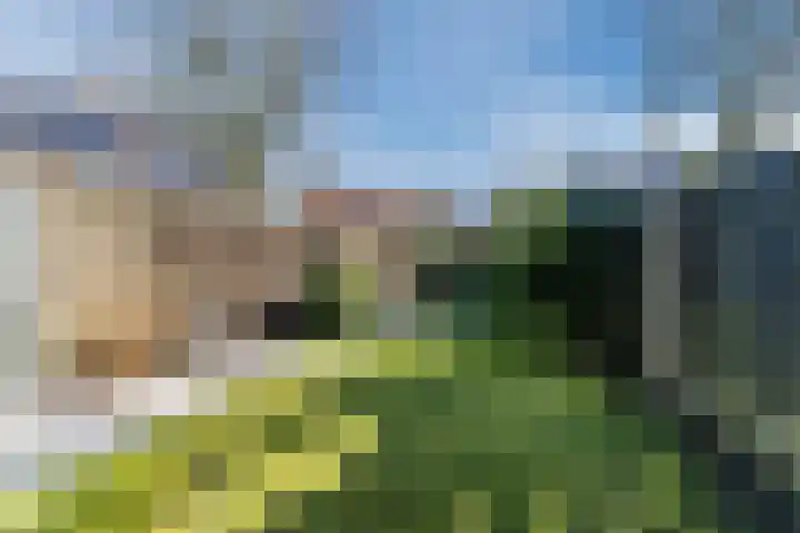 Pastoor van de Boschstraat 1 Gilze thumbnail 16