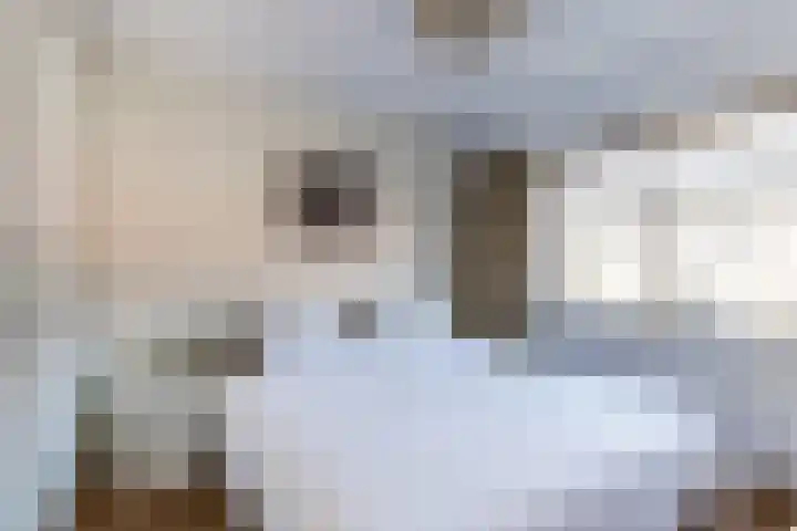 Pastoor van de Boschstraat 1 Gilze thumbnail 18