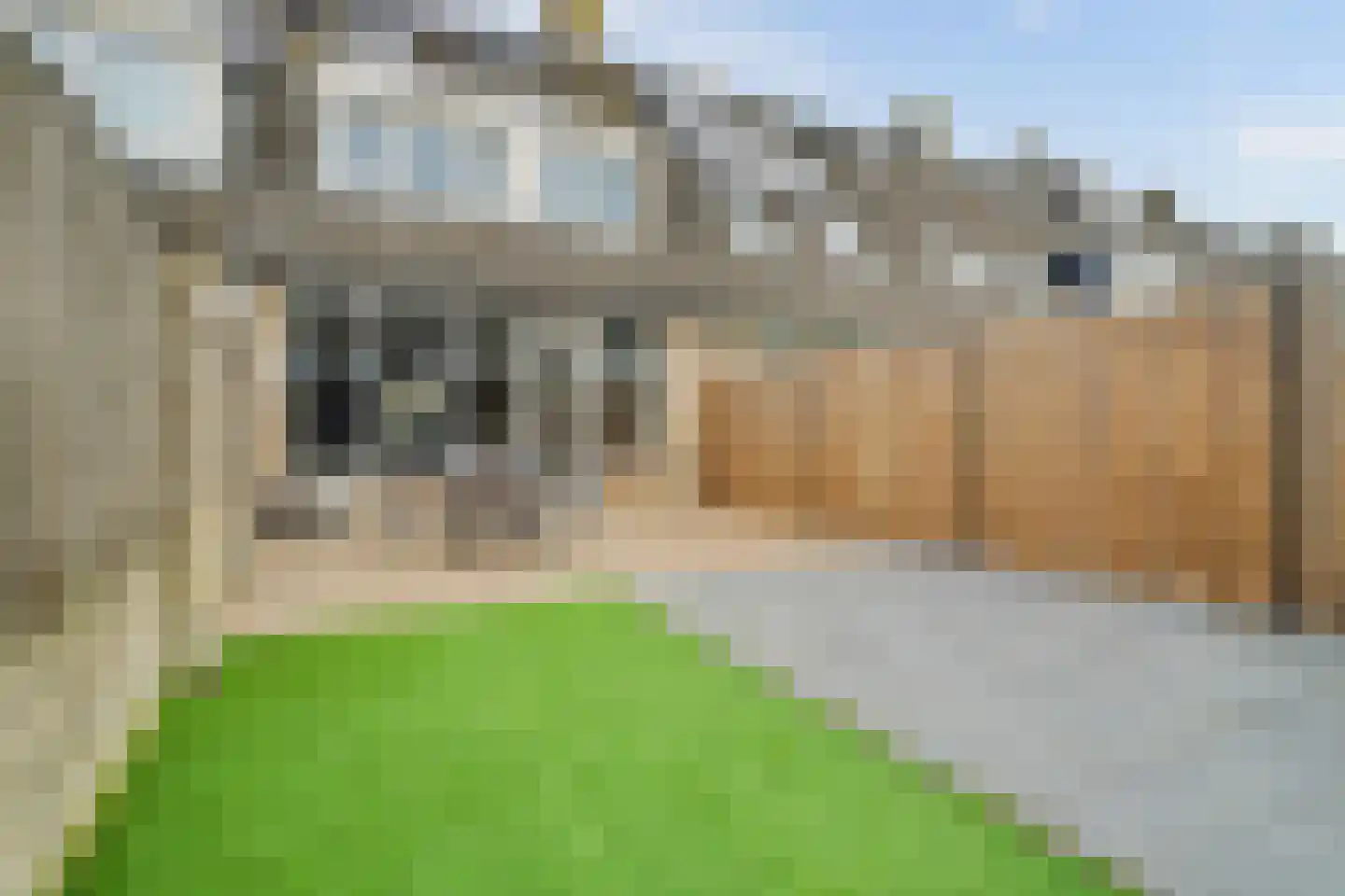 Pastoor van de Boschstraat 21 Gilze thumbnail 39