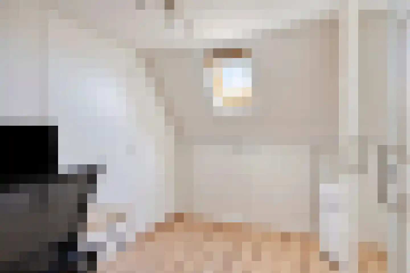 Pastoor van de Boschstraat 5 Gilze thumbnail 27