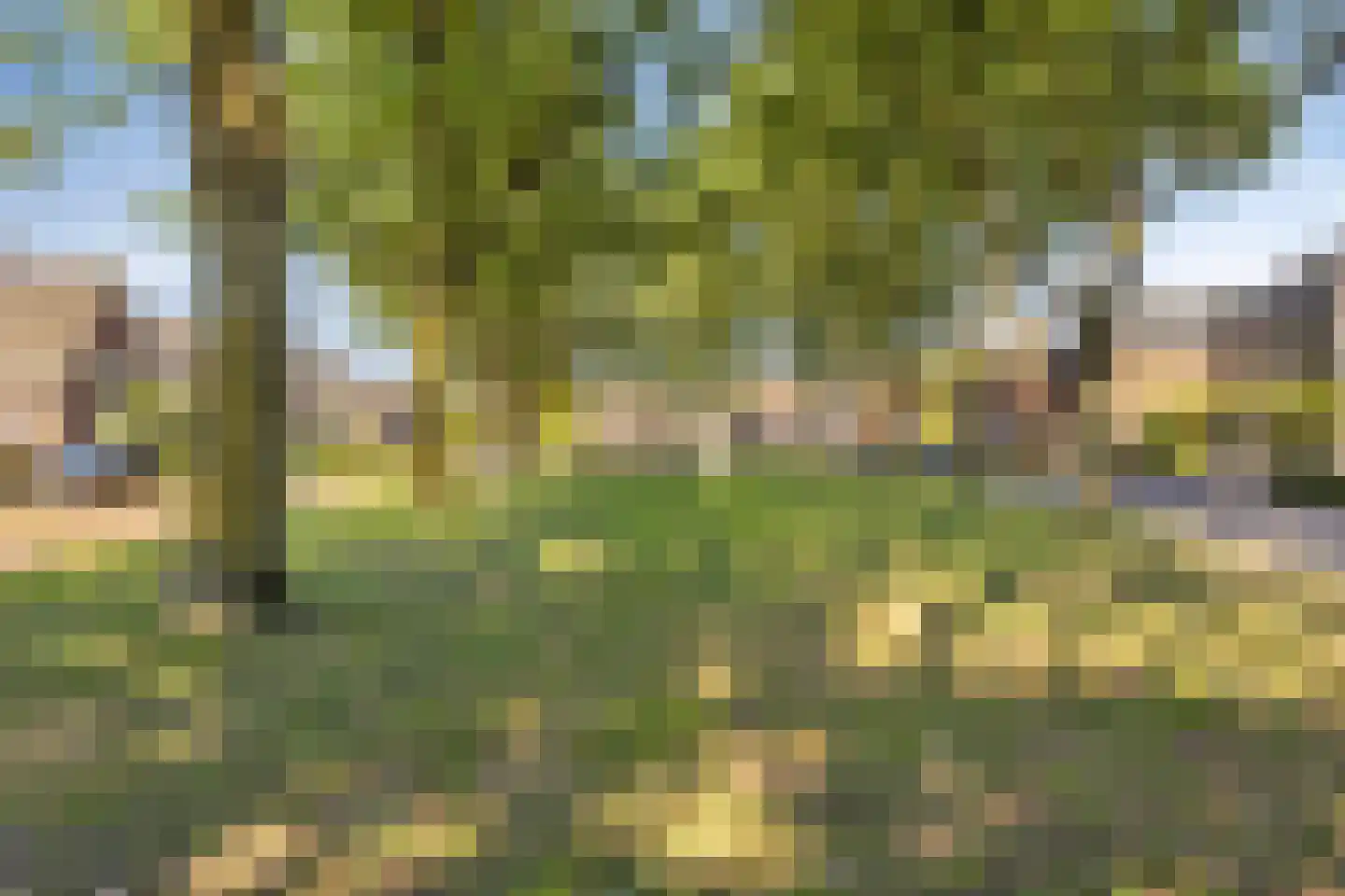 Pastoor van de Boschstraat 5 Gilze thumbnail 29
