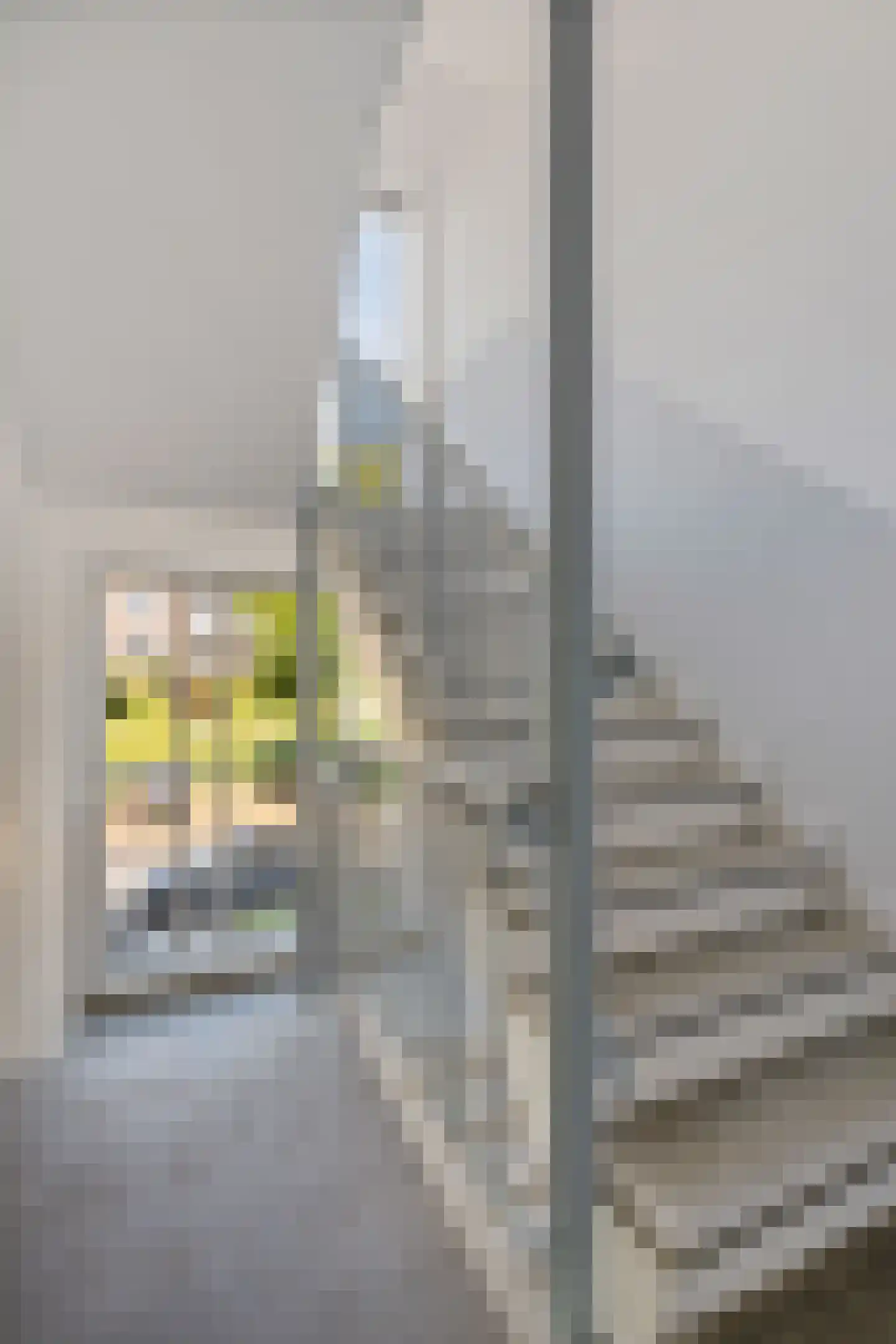 Pastoor van de Loolaan 3 2 Arnhem thumbnail 11