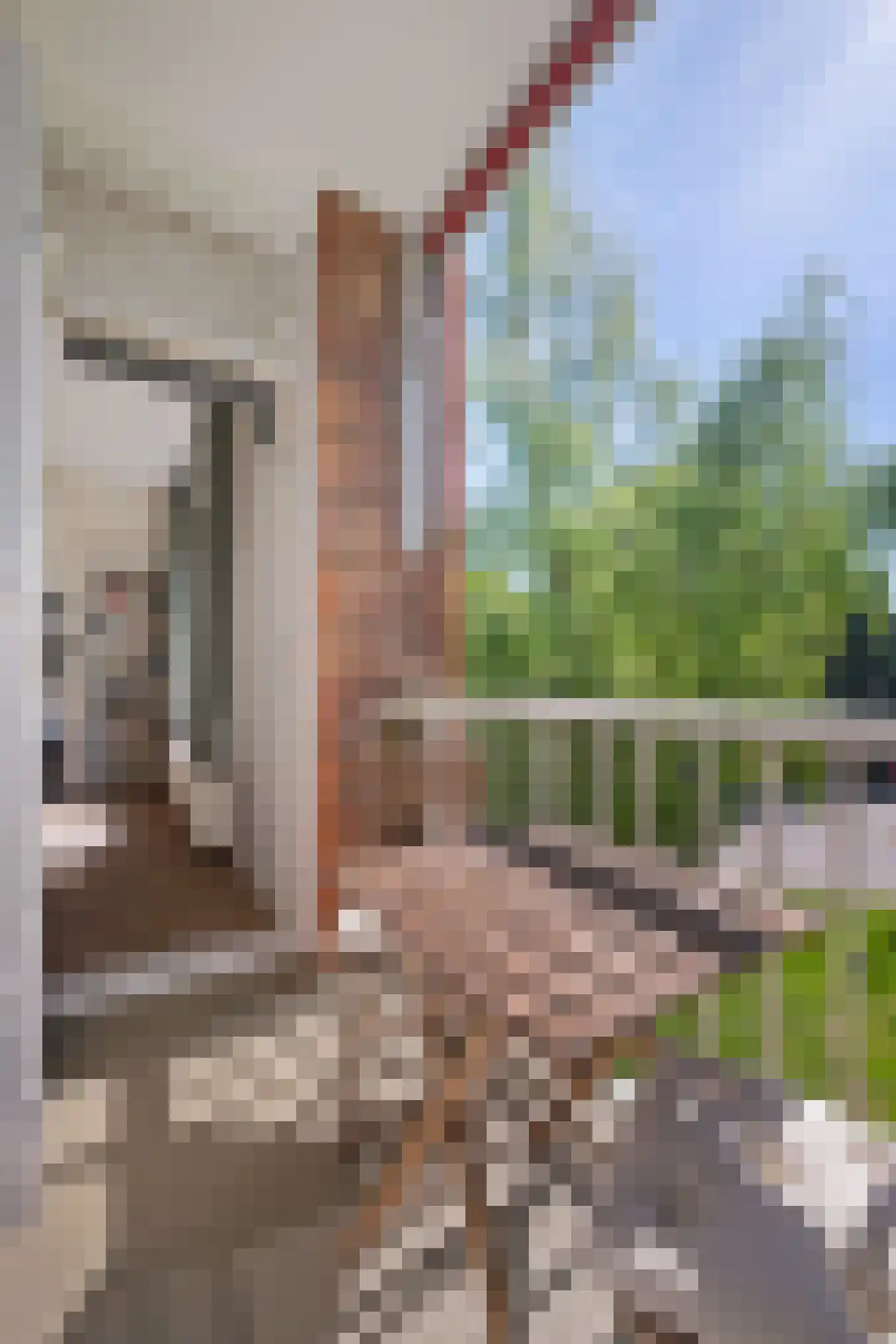 Pastoor van de Loolaan 3 2 Arnhem thumbnail 18
