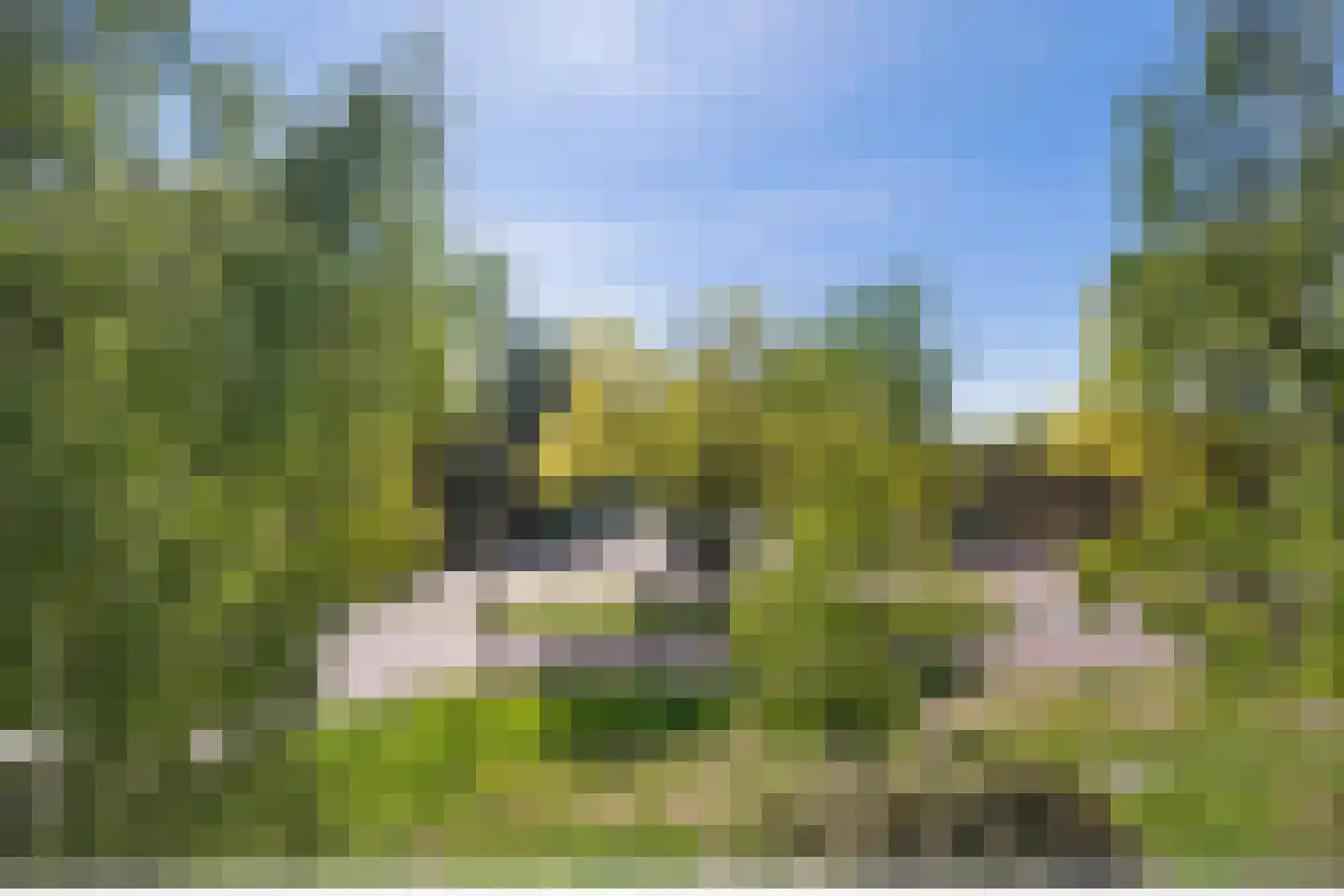 Pastoor van de Loolaan 3 2 Arnhem thumbnail 19