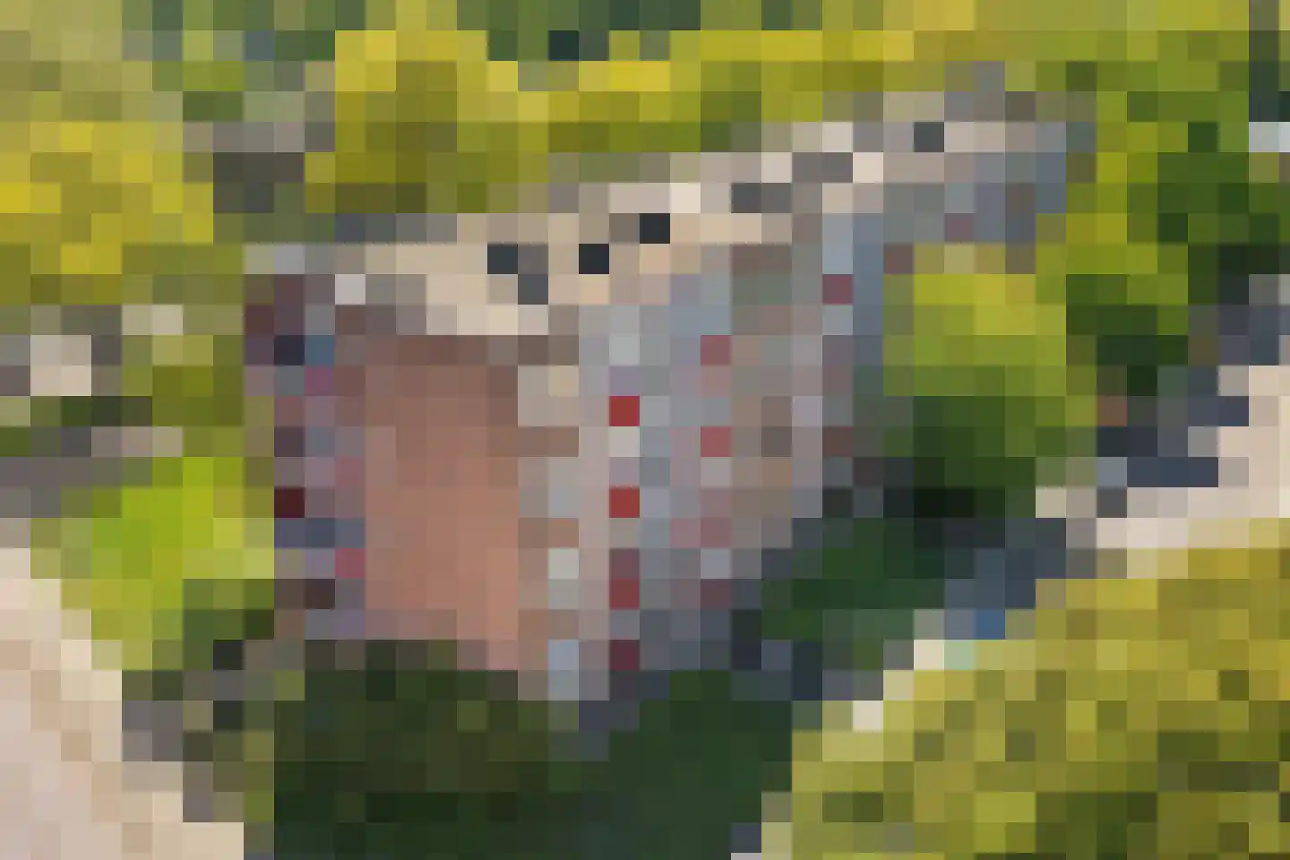 Pastoor van de Loolaan 3 2 Arnhem thumbnail 5