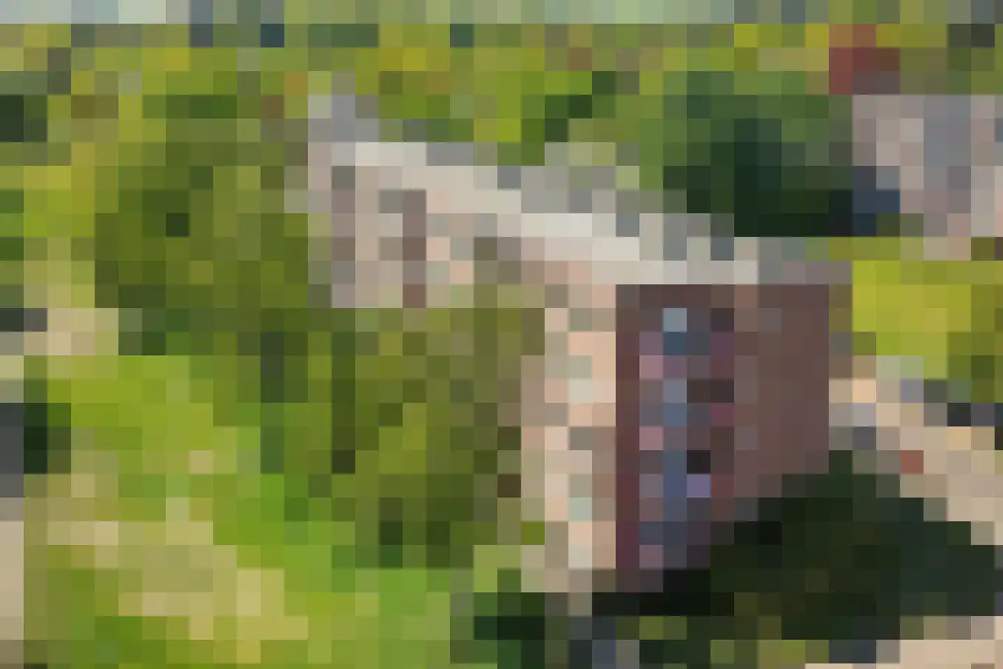 Pastoor van de Loolaan 3 2 Arnhem thumbnail 6