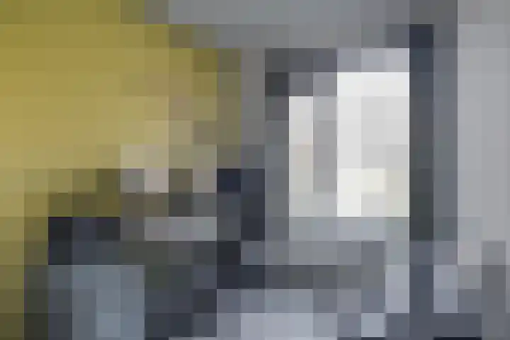 Pastoor van de Loolaan 5 2 Arnhem thumbnail 16