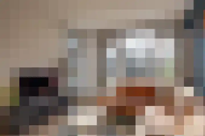 Pastoor van de Loolaan 5 2 Arnhem thumbnail 7