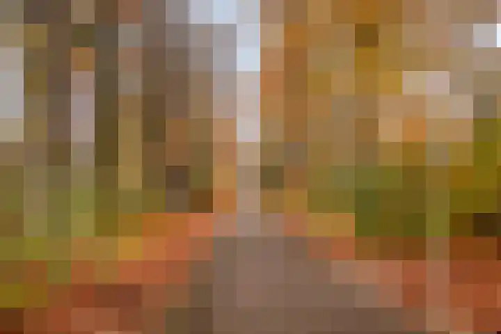 Pastoor van de Loolaan 7 4 Arnhem thumbnail 18