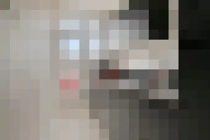 Pastoor van de Loolaan 7 4 Arnhem thumbnail 4