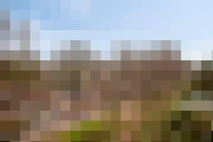 Pastoor van de Loolaan 7 4 Arnhem thumbnail 5