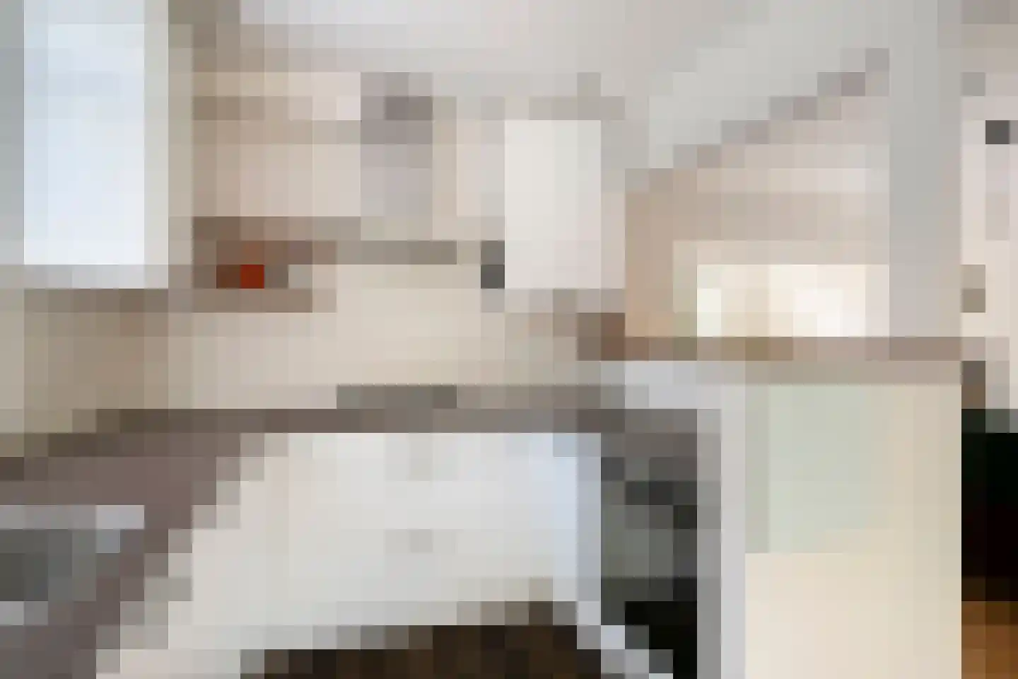 Pastoor van de Spijkerstraat 3 Helmond thumbnail 16