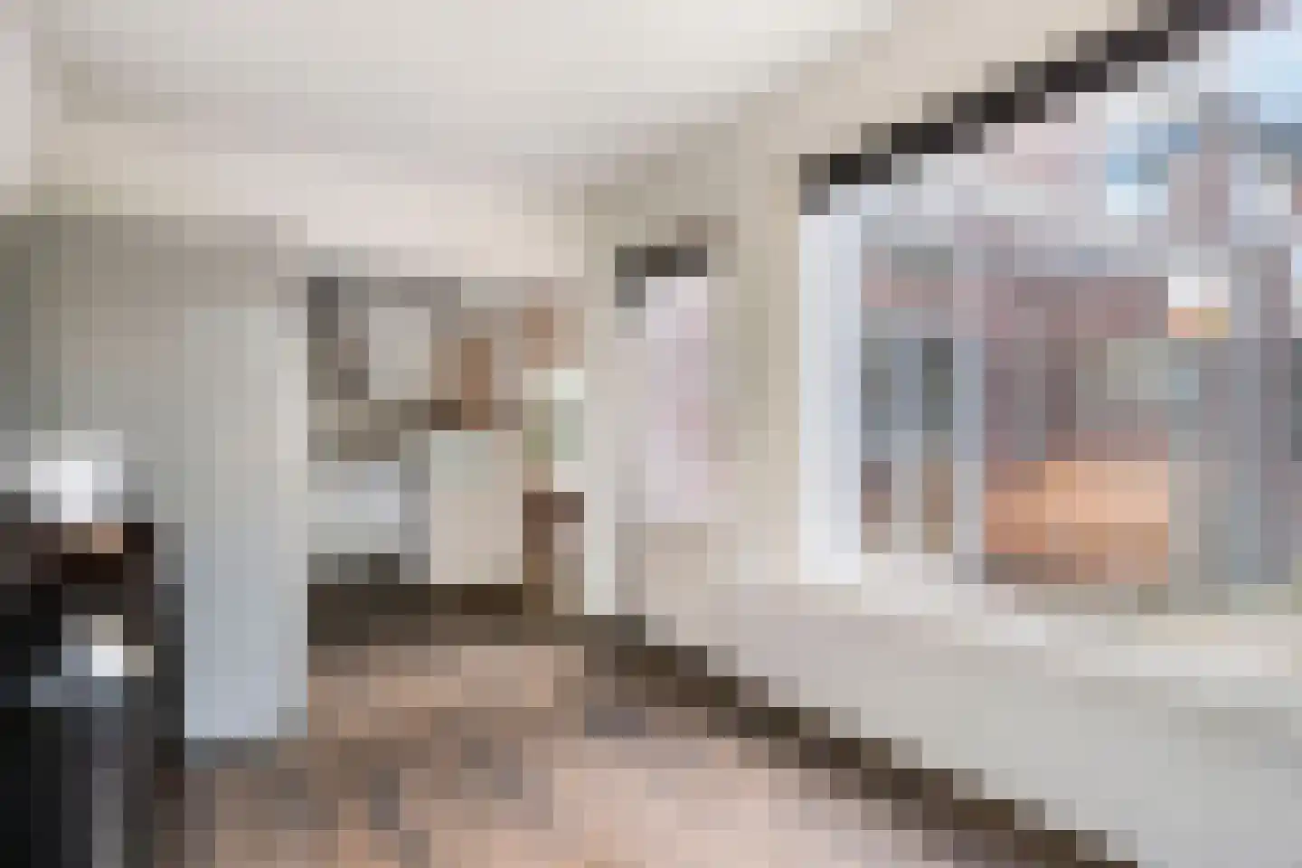 Pastoor van de Spijkerstraat 3 Helmond thumbnail 18