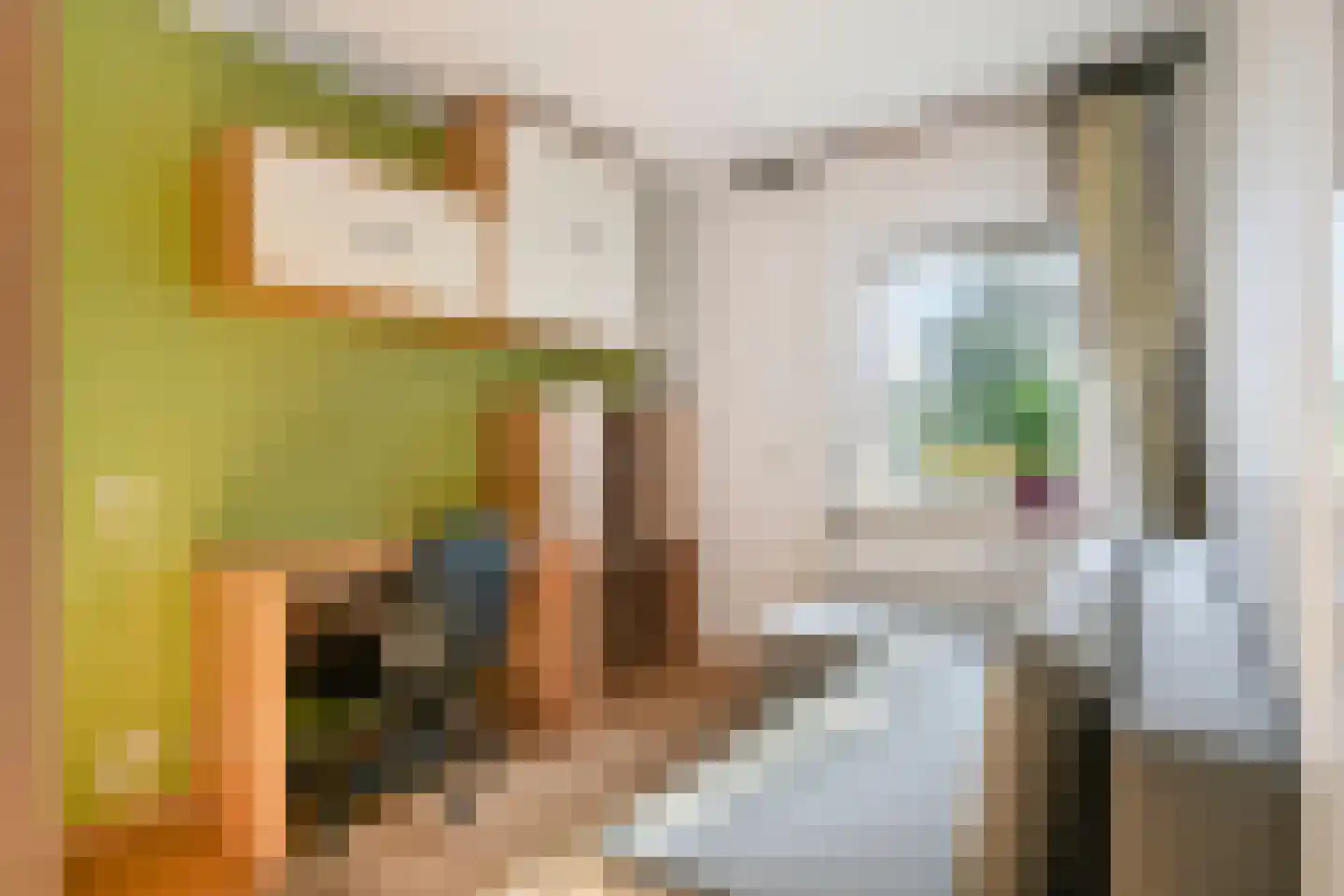 Pastoor van de Spijkerstraat 3 Helmond thumbnail 25