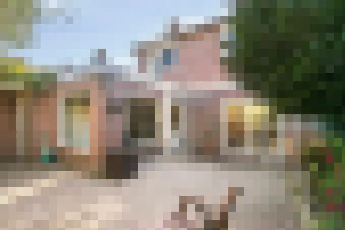 Pastoor van de Spijkerstraat 3 Helmond thumbnail 6