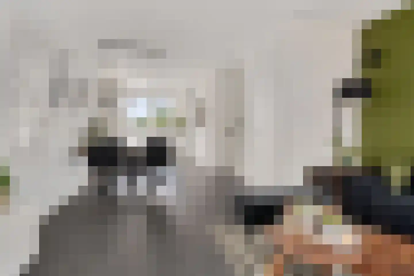 Pastoor van de Spijkerstraat 69 Helmond thumbnail 11