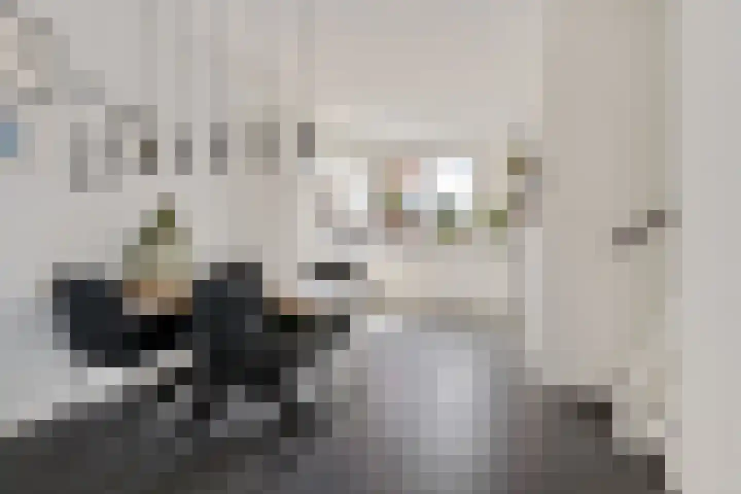 Pastoor van de Spijkerstraat 69 Helmond thumbnail 12