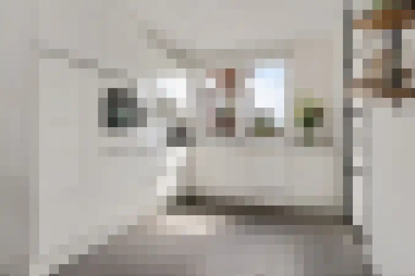 Pastoor van de Spijkerstraat 69 Helmond thumbnail 6
