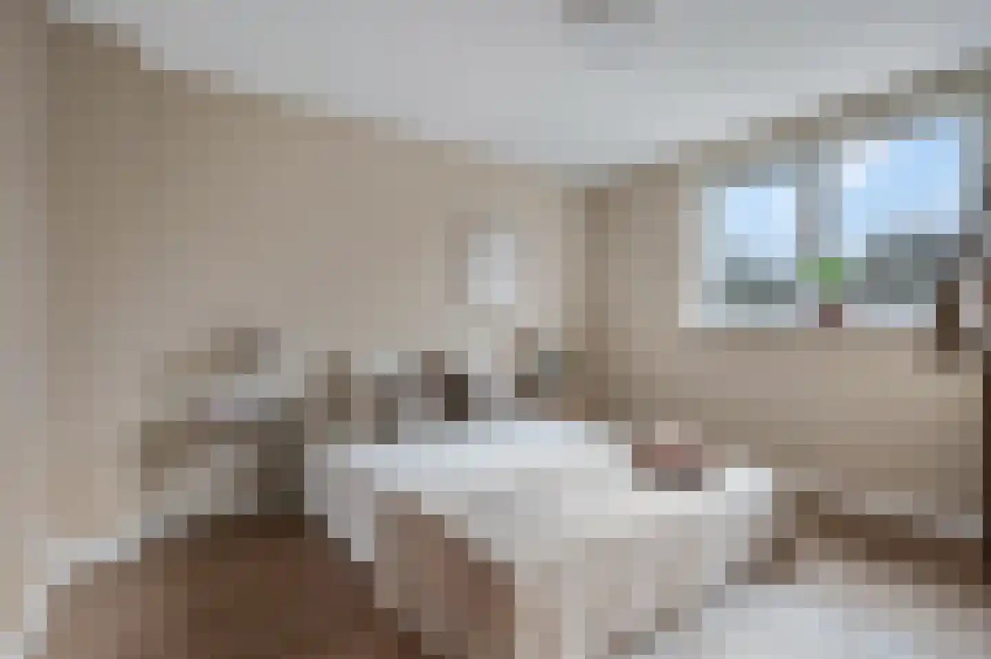 Pastoor van de Weijstr 30 Haalderen thumbnail 30