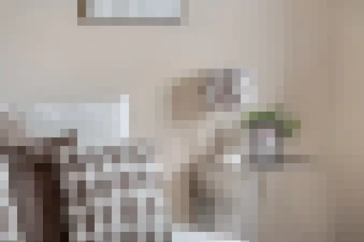 Pastoor van de Weijstr 30 Haalderen thumbnail 32
