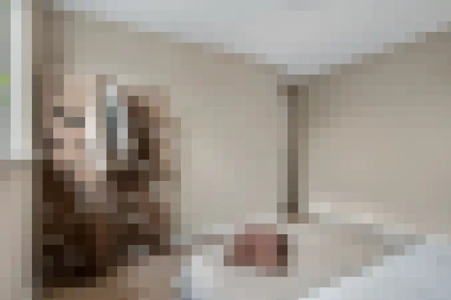 Pastoor van de Weijstr 30 Haalderen thumbnail 34