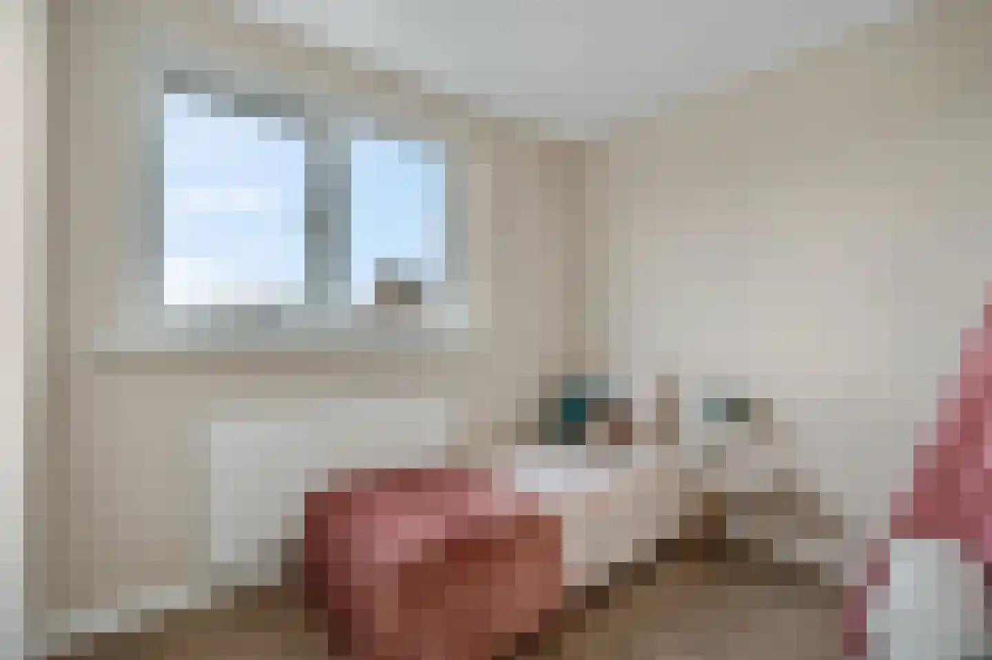Pastoor van de Weijstr 30 Haalderen thumbnail 36