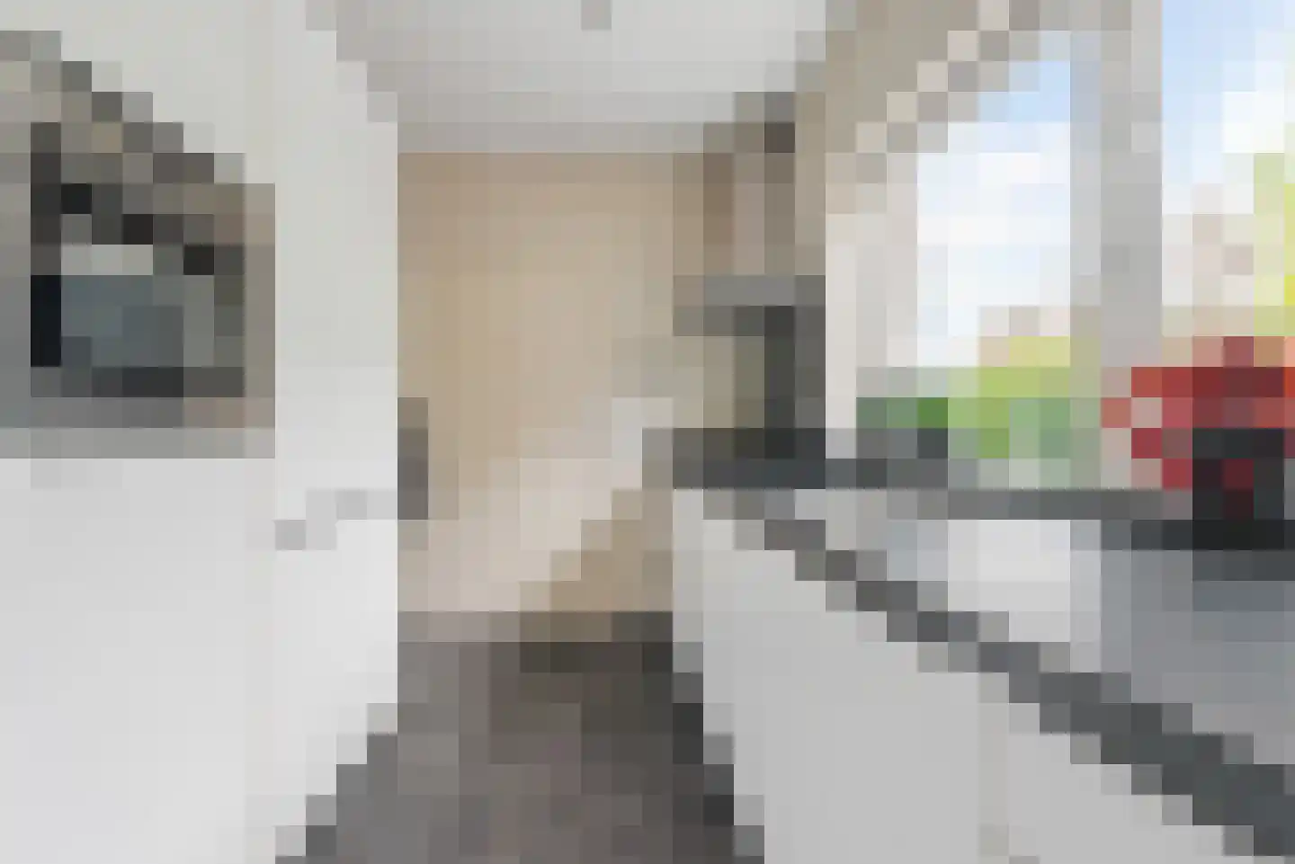 Pastoor van Delftlaan 3 Sint Anthonis thumbnail 12