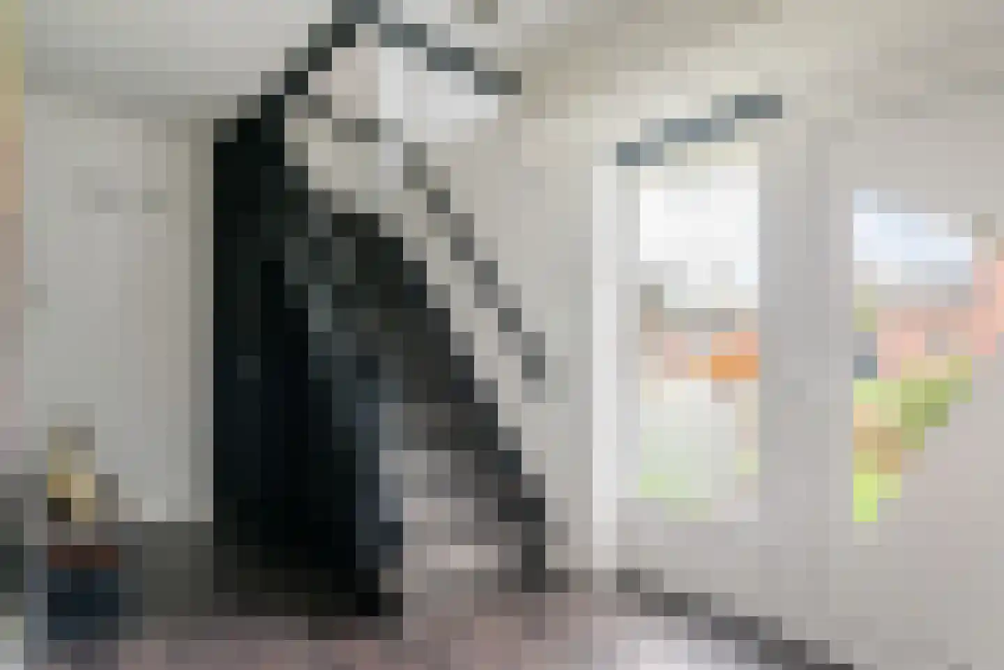 Pastoor van Delftlaan 3 Sint Anthonis thumbnail 16