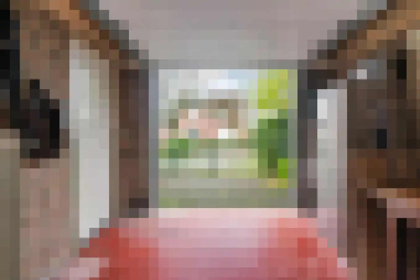 Pastoor van Delftlaan 3 Sint Anthonis thumbnail 23