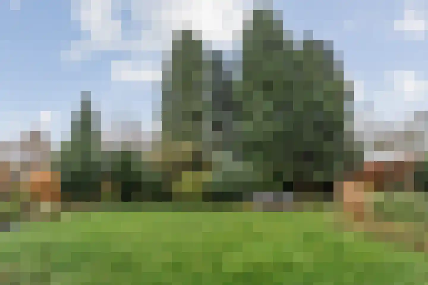 Pastoor van Delftlaan 3 Sint Anthonis thumbnail 24