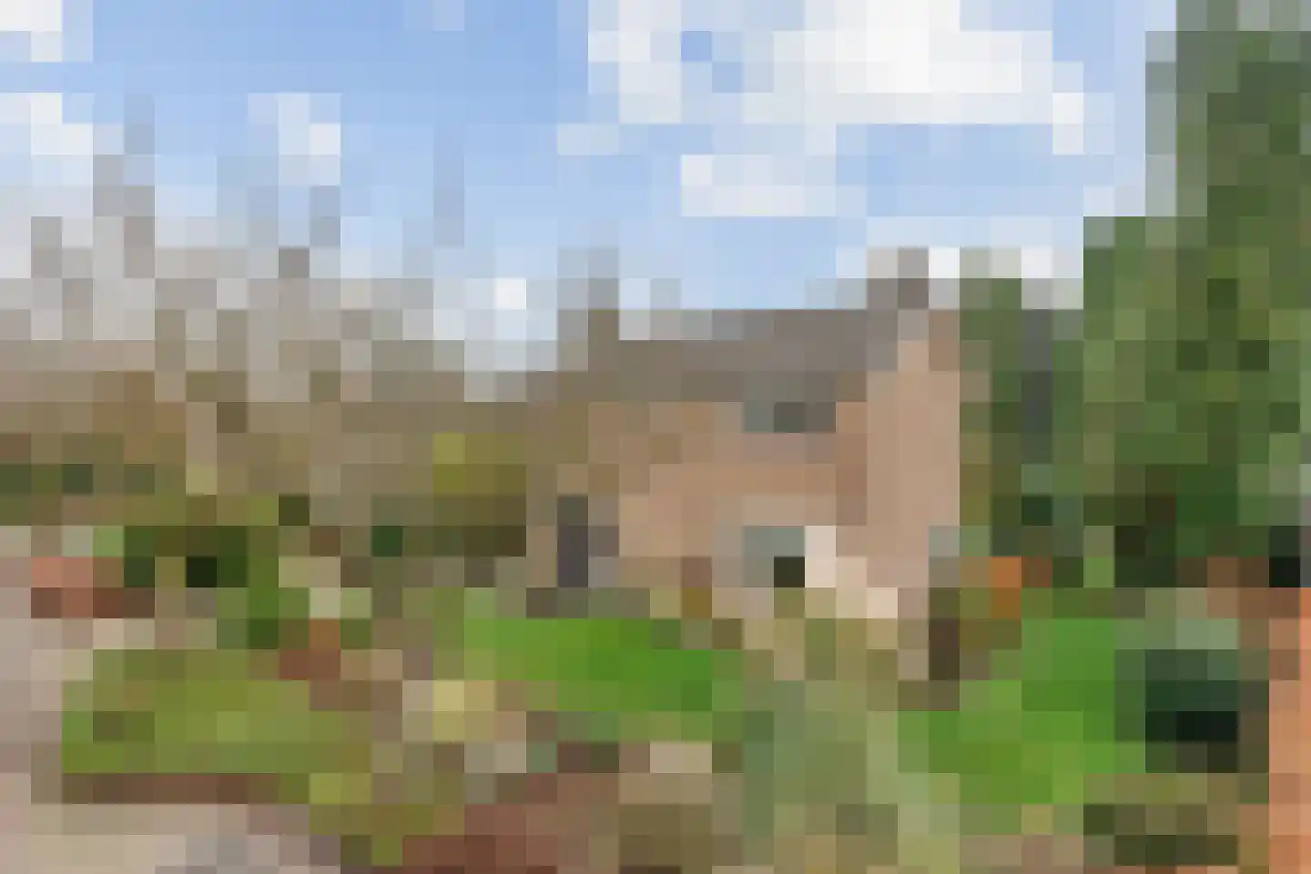 Pastoor van Delftlaan 3 Sint Anthonis thumbnail 29