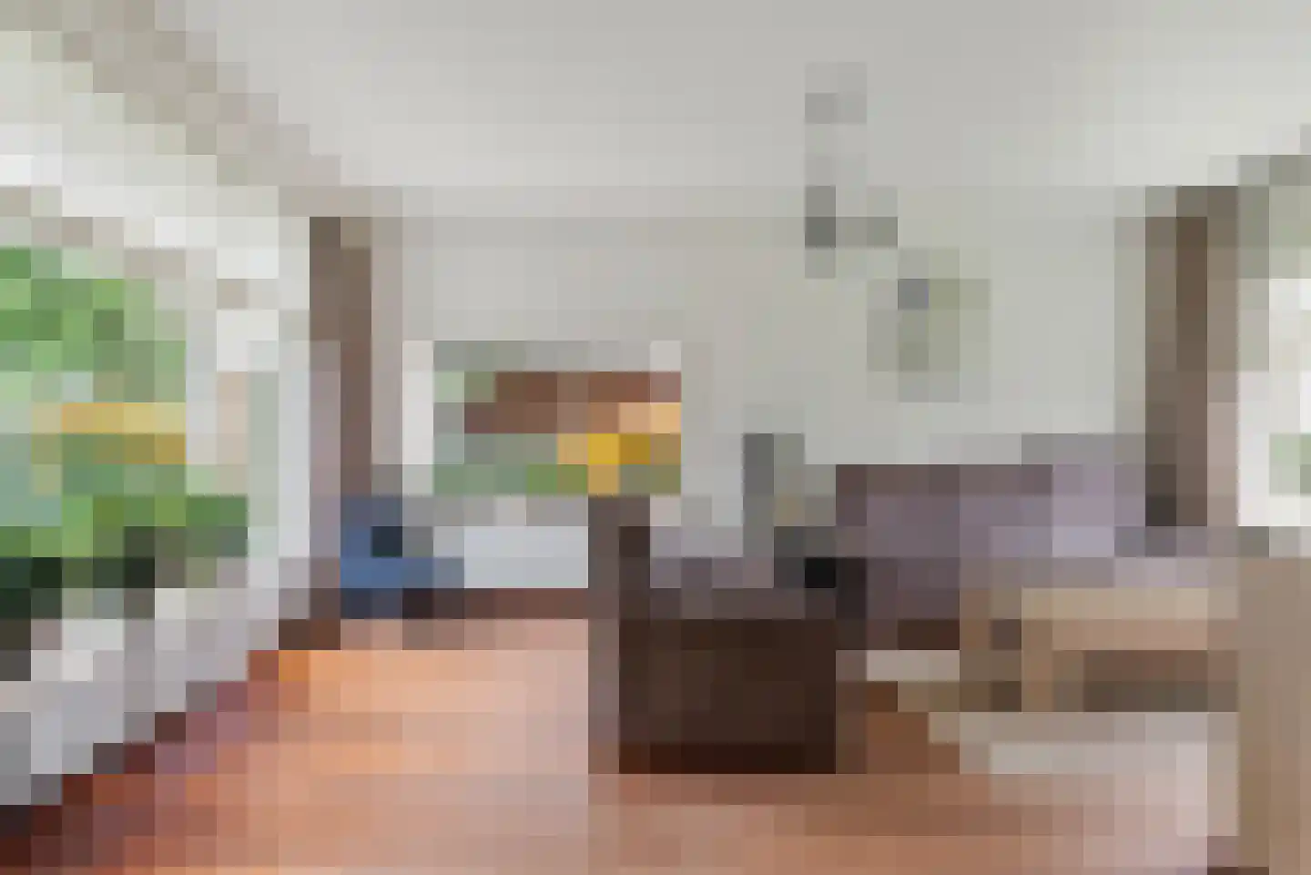 Pastoor van Delftlaan 3 Sint Anthonis thumbnail 6