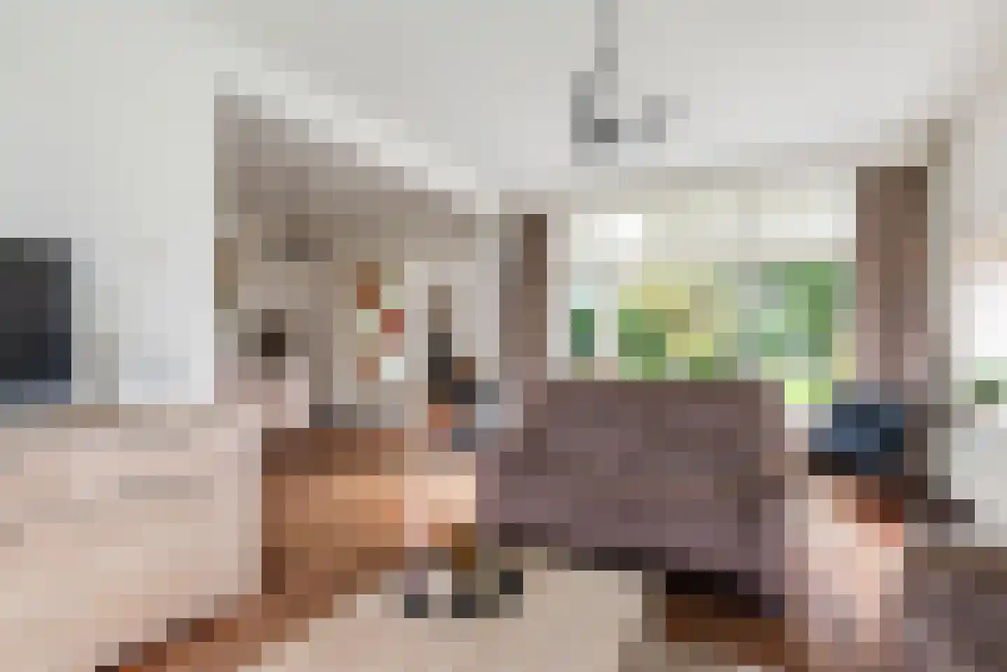 Pastoor van Delftlaan 3 Sint Anthonis thumbnail 8