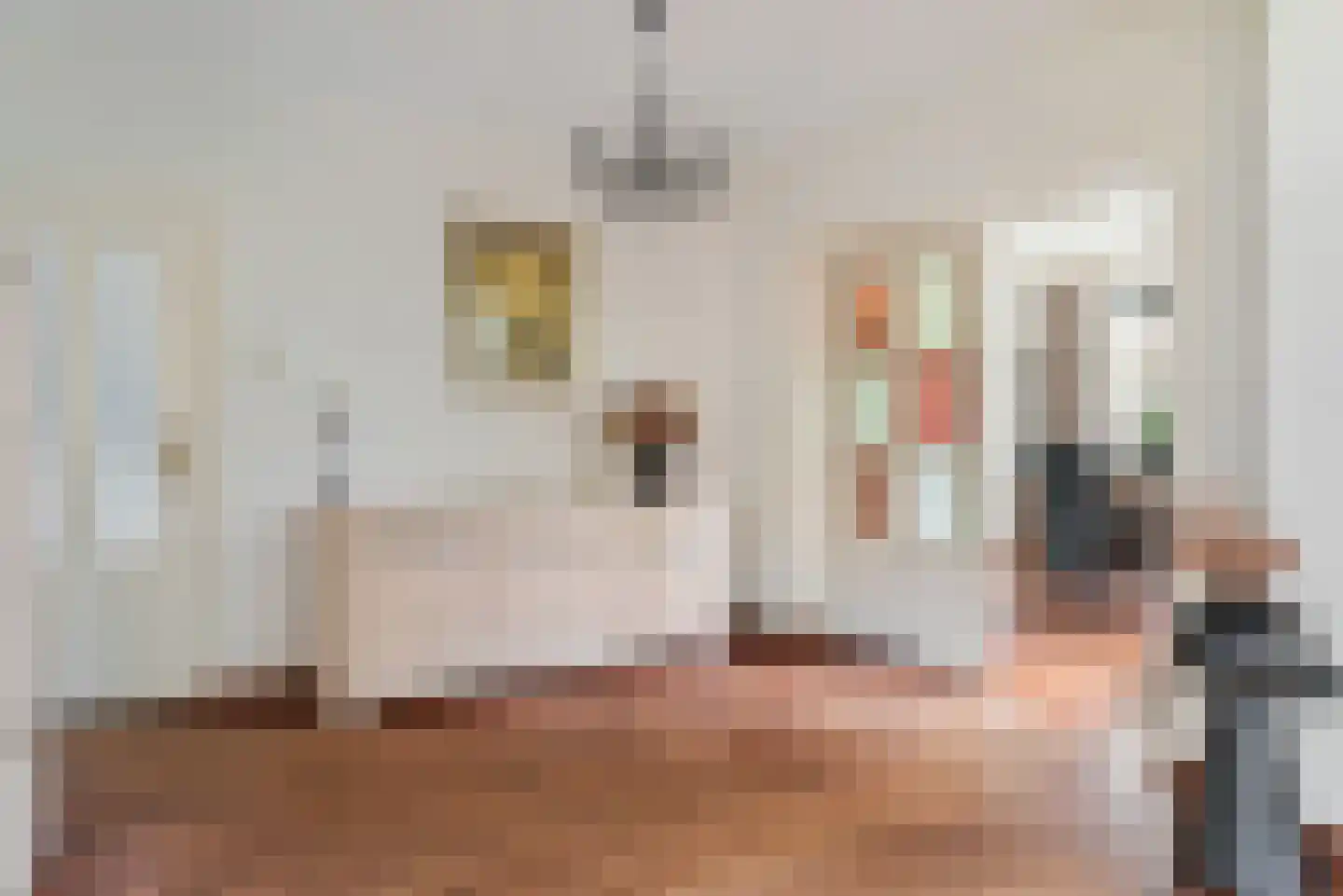 Pastoor van Delftlaan 3 Sint Anthonis thumbnail 9