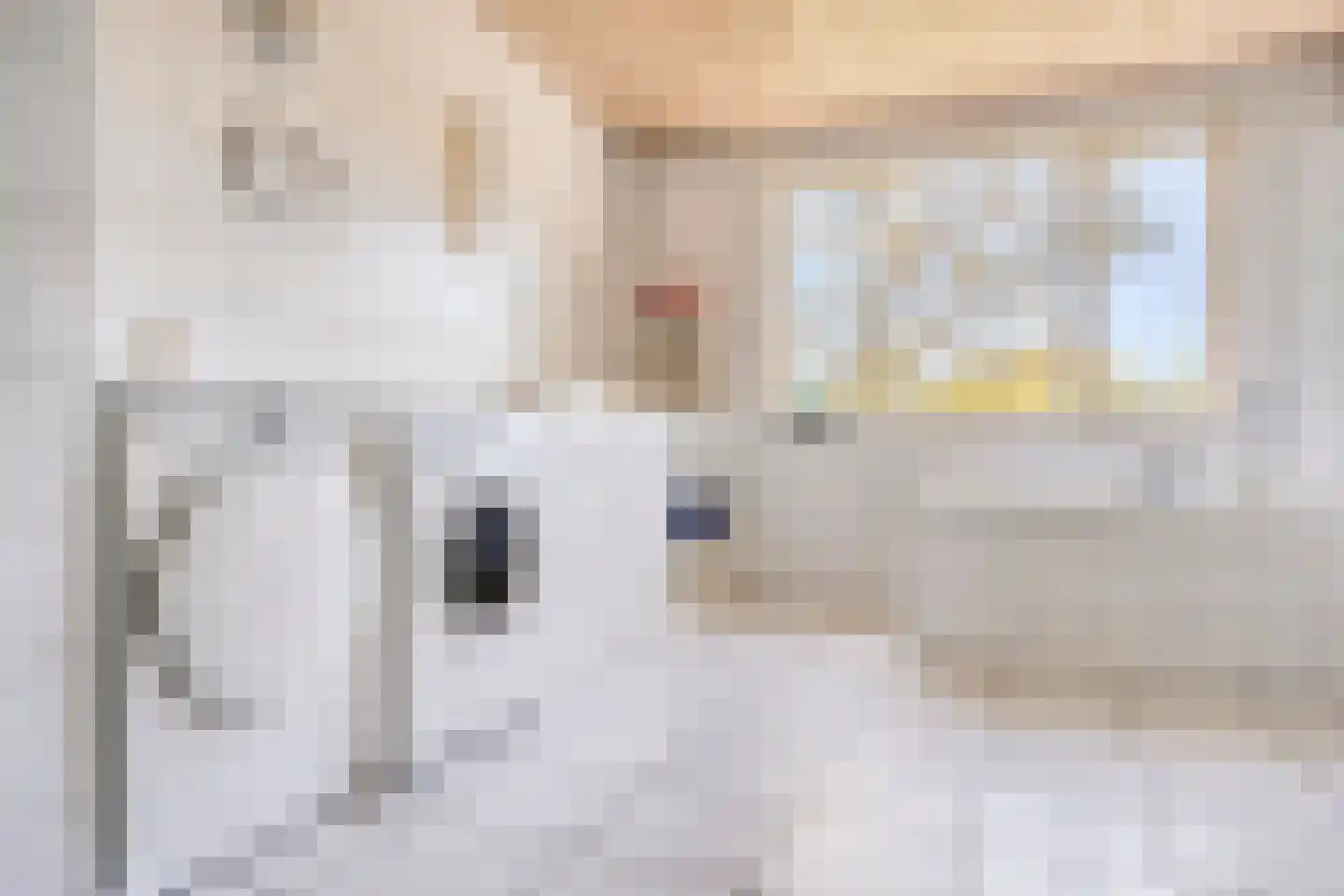 Pastoor van den Boogaardstraat 45 Moergestel thumbnail 20