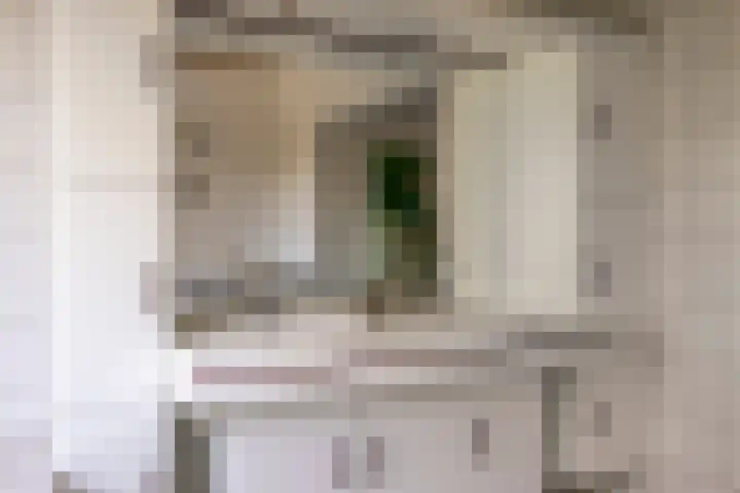Pastoor van den Boogaardstraat 45 Moergestel thumbnail 21