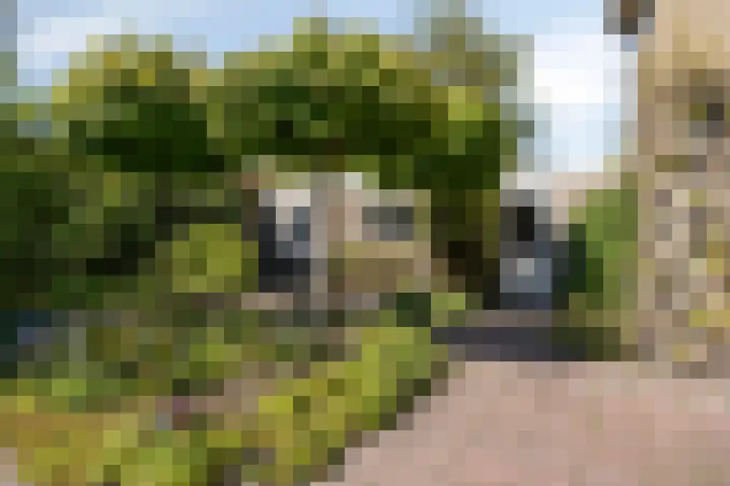 Pastoor van den Boogaardstraat 45 Moergestel thumbnail 32
