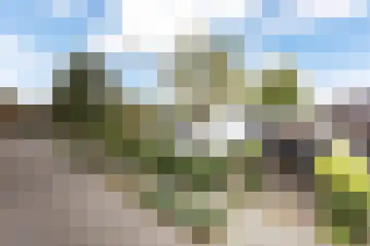 Pastoor van den Boomstraat 102 Berlicum thumbnail 20