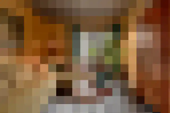 Pastoor van den Boomstraat 102 Berlicum thumbnail 22