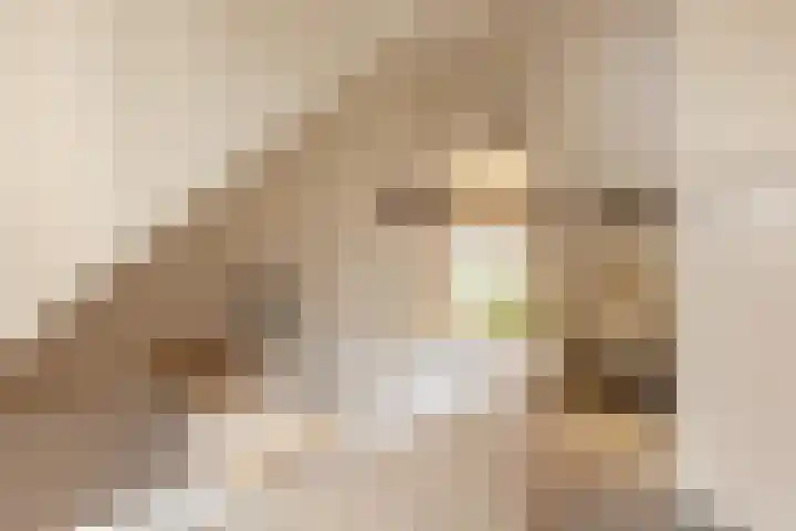 Pastoor van den Boomstraat 102 Berlicum thumbnail 33