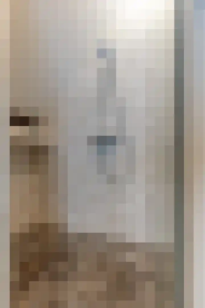 Pastoor van den Boomstraat 102 Berlicum thumbnail 35