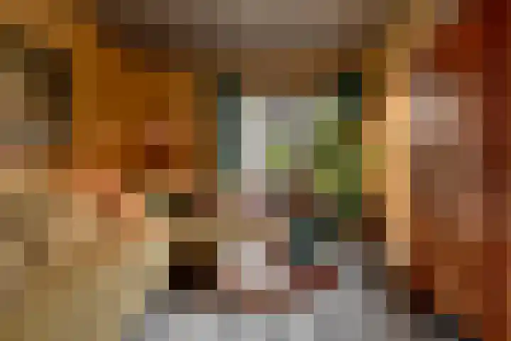 Pastoor van den Boomstraat 102 Berlicum thumbnail 4